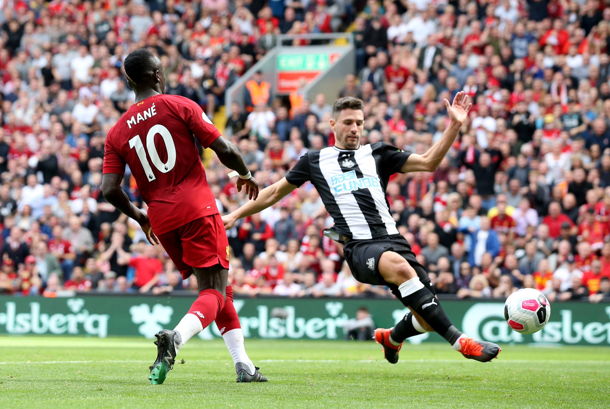 拉美乒乓球 拉美乒乓球