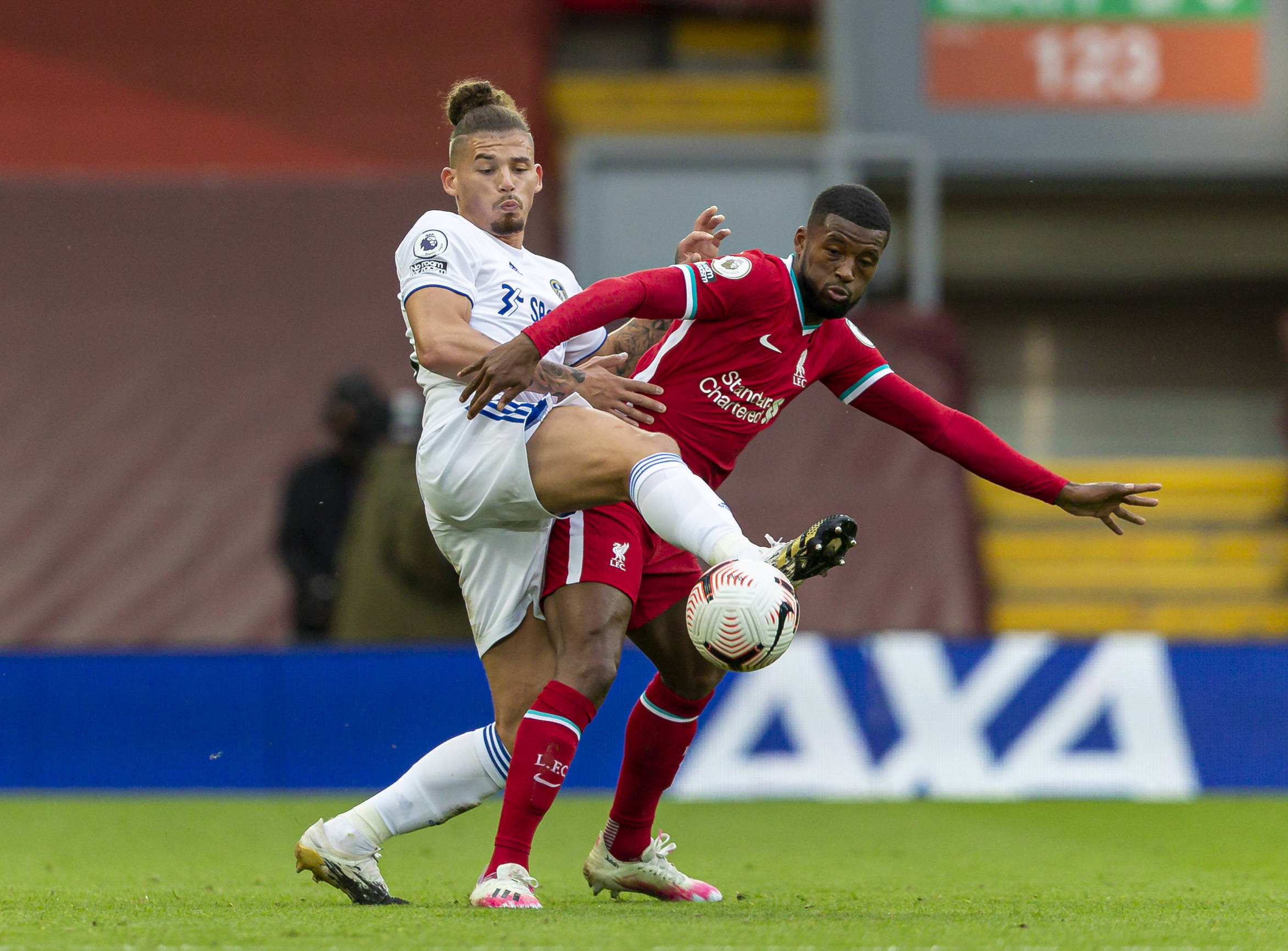 励队友的 励队友的